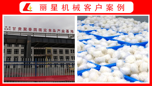 甘肅聚春園引進(jìn)麗星水晶粉絲生產(chǎn)線(xiàn)、酸辣粉加工設(shè)備正式投產(chǎn)