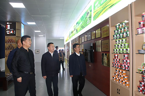 國家、省、市鄉(xiāng)村振興局等**一行蒞臨麗星公司進(jìn)行調(diào)研工作